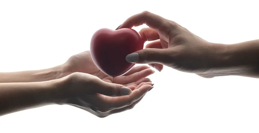 hand giving a pretend heart to another set of hands for organ donation
