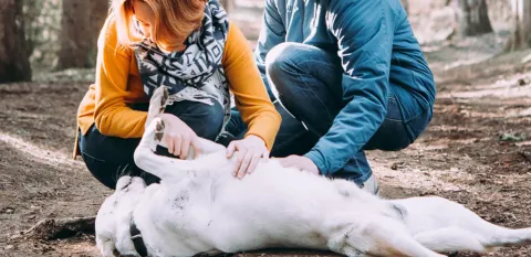 Two women stop to pay attention to their dog, laying on its back, getting a belly rub.