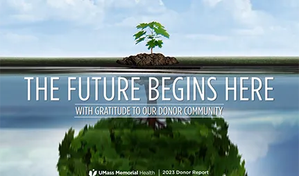 A very young tree is growing on the water's edge, while its reflection in the water shows an older, healthy tree.