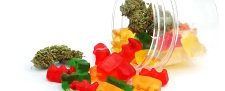 Marijuana gummy bears